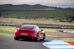 Porsche 718 Cayman GT4 2019 года (WW)